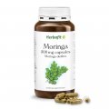 Moringa capsules 500 mg - Moringa oleifera 240 capsules