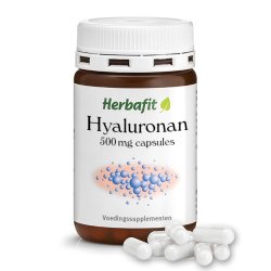 Hyaluronan capsules 500 mg 90 capsules