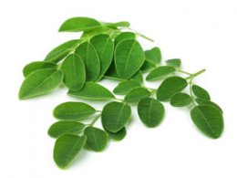 Moringa-Voedingssupplementen